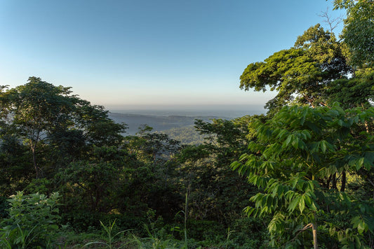 Territorios verdes, la casa del cacao