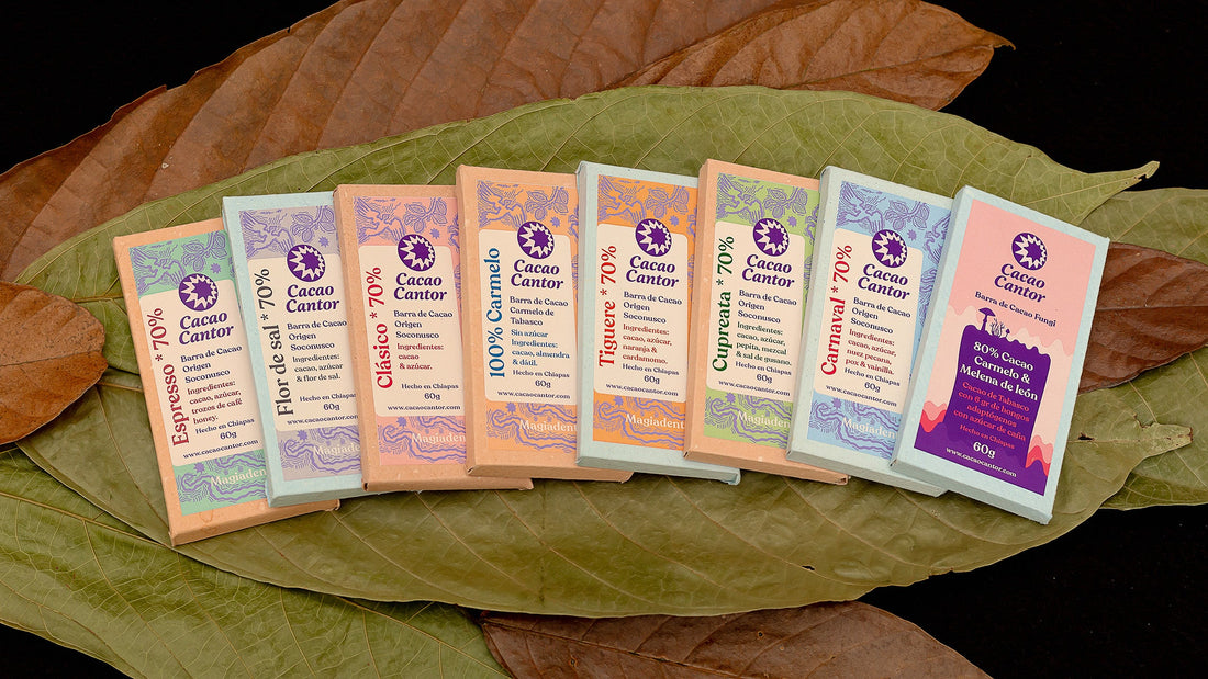 Los poderes del cacao: del grano a tu salud