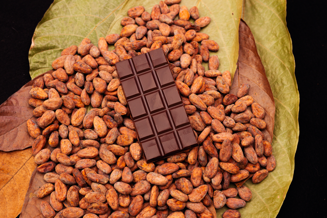 Los poderes del cacao: del grano a tu salud